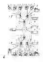 Fig. 02 - COMMUNICATION TERMINAL, COMMUNICATION MANAGEMENT SYSTEM, COMMUNICATION METHOD, AND RECORDING MEDIUM STORING COMMUNICATION CONTROL PROGRAM