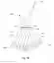 Fig. 09 - Light field display device and method