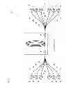Fig. 09 - Optical amplification component and fiber laser device