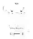 Fig. 06 - Display panel, display device, and terminal device