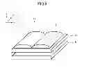 Fig. 09 - Display panel, display device, and terminal device