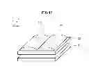 Fig. 43 - Display panel, display device, and terminal device