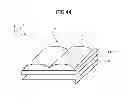 Fig. 45 - Display panel, display device, and terminal device