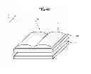 Fig. 49 - Display panel, display device, and terminal device