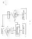 Fig. 06 - Passive charge neutralization system for mitigating electrostatic discharge in space