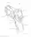 Fig. 24 - Test and measurement device with a pistol-grip handle
