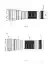 Fig. 05 - Dual-lens zooming flashlight