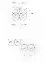 Fig. 06 - Light source system and laser light source