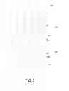 Fig. 07 - Structure of a switching device in an array