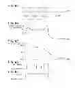 Fig. 07 - Sound source detection system