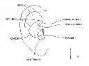 Fig. 01 - Earpiece passive noise attenuating