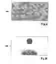 Fig. 11 - Method and apparatus for the detection of visibility impairment of a pane