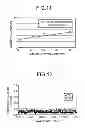 Fig. 06 - Optical waveguide element and method of producing the same