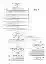 Fig. 09 - Electronic control system for electric water heater