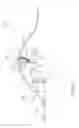 Fig. 07 - PLOUGH VEHICLE ASSEMBLY