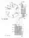 Fig. 02 - HYDRODYNAMIC AXIAL BEARING