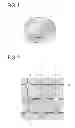 Fig. 02 - PERMANENT MAGNET AND METHOD FOR MANUFACTURING PERMANENT MAGNET