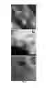 Fig. 07 - Methods for synthesizing microporous crystals and microporous crystal membranes