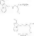 Fig. 110 - Chelated PSMA inhibitors