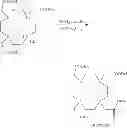 Fig. 117 - Chelated PSMA inhibitors