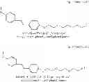 Fig. 09 - Formulations of fluorinated stilbene suitable for PET imaging