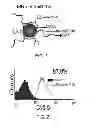 Fig. 02 - Therapeutic nanoparticles and methods of use thereof