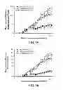 Fig. 02 - METHODS FOR TREATING UV-DAMAGED SKIN AND SCC TUMORS AND FOR REMOVING TATTOOS WITH TOPICAL INGENOL MEBUTATE