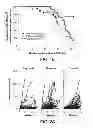 Fig. 04 - METHODS FOR TREATING UV-DAMAGED SKIN AND SCC TUMORS AND FOR REMOVING TATTOOS WITH TOPICAL INGENOL MEBUTATE