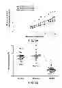 Fig. 13 - METHODS FOR TREATING UV-DAMAGED SKIN AND SCC TUMORS AND FOR REMOVING TATTOOS WITH TOPICAL INGENOL MEBUTATE