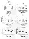 Fig. 21 - METHODS FOR TREATING UV-DAMAGED SKIN AND SCC TUMORS AND FOR REMOVING TATTOOS WITH TOPICAL INGENOL MEBUTATE