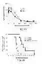 Fig. 25 - METHODS FOR TREATING UV-DAMAGED SKIN AND SCC TUMORS AND FOR REMOVING TATTOOS WITH TOPICAL INGENOL MEBUTATE