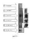 Fig. 30 - METHODS FOR TREATING UV-DAMAGED SKIN AND SCC TUMORS AND FOR REMOVING TATTOOS WITH TOPICAL INGENOL MEBUTATE