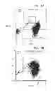 Fig. 03 - Method for using directing cells for specific stem/progenitor cell activation and differentiation