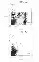 Fig. 05 - Method for using directing cells for specific stem/progenitor cell activation and differentiation