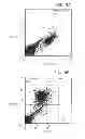 Fig. 09 - Method for using directing cells for specific stem/progenitor cell activation and differentiation