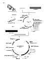 Fig. 02 - Composition and formulation comprising recombinant human iduronate-2-sulfatase and preparation method thereof