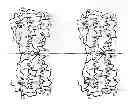 Fig. 01 - M-CSF specific monoclonal antibody and uses thereof
