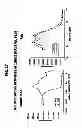 Fig. 22 - M-CSF specific monoclonal antibody and uses thereof