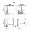 Fig. 02 - CARTILAGE/BONE DESTRUCTION SUPPRESSOR