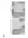 Fig. 08 - CARTILAGE/BONE DESTRUCTION SUPPRESSOR
