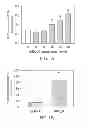 Fig. 02 - Materials and methods for modulating activity of bone marrow derived cells