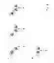 Fig. 02 - Bispecific T cell activating antigen binding molecules