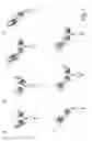 Fig. 02 - BISPECIFIC T CELL ACTIVATING ANTIGEN BINDING MOLECULES