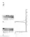 Fig. 08 - BISPECIFIC T CELL ACTIVATING ANTIGEN BINDING MOLECULES