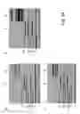 Fig. 71 - BISPECIFIC T CELL ACTIVATING ANTIGEN BINDING MOLECULES