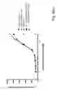 Fig. 76 - BISPECIFIC T CELL ACTIVATING ANTIGEN BINDING MOLECULES