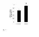 Fig. 11 - Method for treating a neurological disorder associated with hypoxia using a small moleucule MIF inhibitor