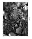 Fig. 04 - SPRAY APPARATUSES, USES OF DIATOMACEOUS EARTH, AND METHODS OF CONTROLLING INSECT POPULATIONS