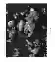 Fig. 09 - SPRAY APPARATUSES, USES OF DIATOMACEOUS EARTH, AND METHODS OF CONTROLLING INSECT POPULATIONS