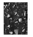 Fig. 16 - SPRAY APPARATUSES, USES OF DIATOMACEOUS EARTH, AND METHODS OF CONTROLLING INSECT POPULATIONS